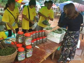 吃瓜群众洪哥,揭秘娱乐圈那些不为人知的幕后故事