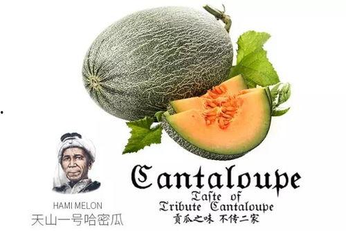 校园吃瓜网站推荐,揭秘那些让人津津乐道的吃瓜瞬间