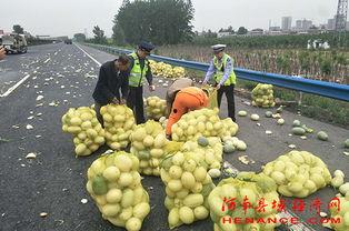 许昌疫情吃瓜图片,一张吃瓜图背后的社会现象解析