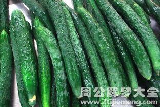 梦到在在瓜地里吃黄瓜,黄瓜滋味里的奇幻之旅