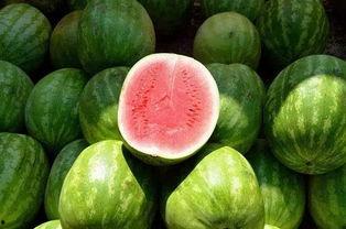 吃瓜白色图片,揭秘吃瓜白色图片背后的故事