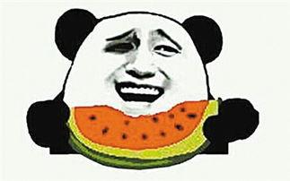 吃瓜群众狮子座图片,趣味横生的星座日常