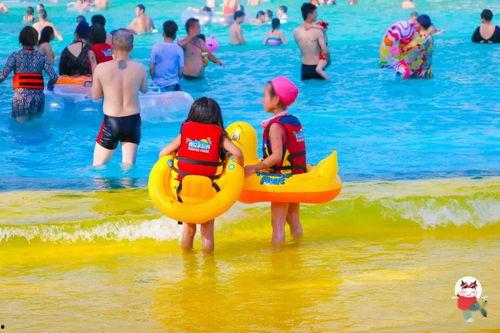 冲浪鱼仔吃瓜,揭秘海洋中的美食传奇