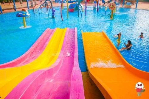 冲浪鱼仔吃瓜,揭秘海洋中的美食传奇