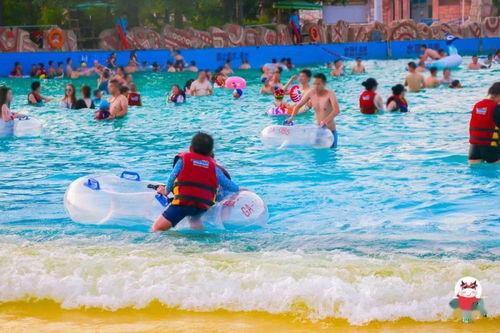 冲浪鱼仔吃瓜,揭秘海洋中的美食传奇