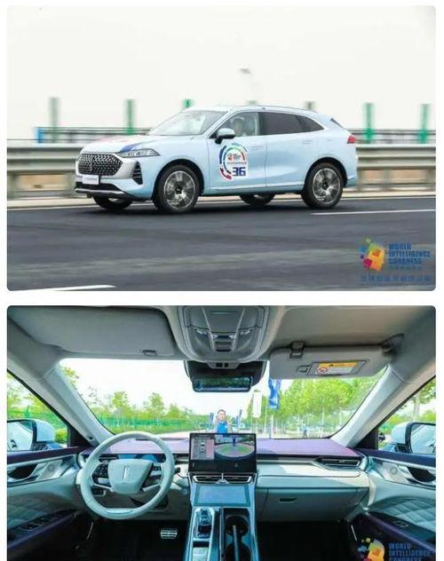 老司机吃瓜合集,揭秘娱乐圈那些不为人知的幕后故事