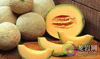 西湖瓜几月可以吃,夏季品尝时令美味