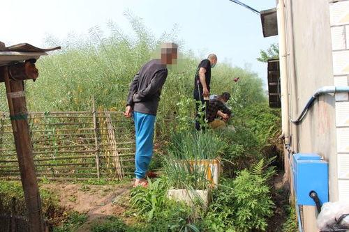 黄家坝吃瓜,一场别开生面的吃瓜盛宴