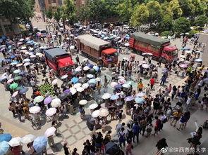 吃瓜学生车上,揭秘校园车上的趣味瞬间