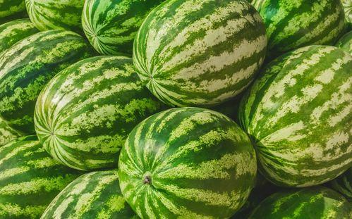 福州瓷砖哥吃瓜,揭秘网络红人的幕后故事