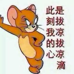 吃瓜群众封面汇总,盘点娱乐圈热点事件背后的真相与笑料