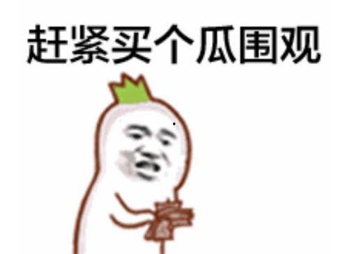 沉浸吃瓜表情包,表情包带你领略网络狂欢
