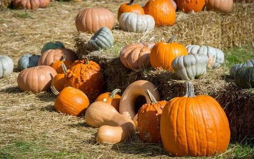 潮阳吃瓜群众网,揭秘潮阳热点事件,带你领略民间风采